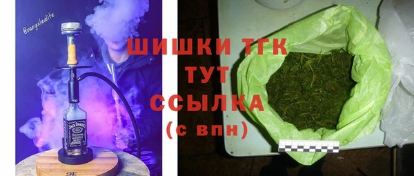 молекула духа Надым