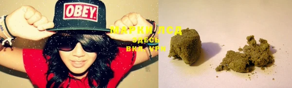 мяу мяу мука Абаза