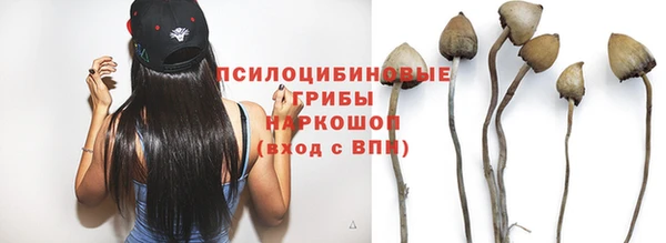СК Заволжье