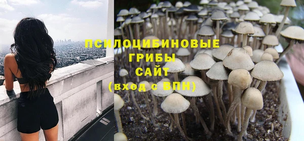 apvp Абинск