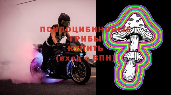 молекула духа Надым